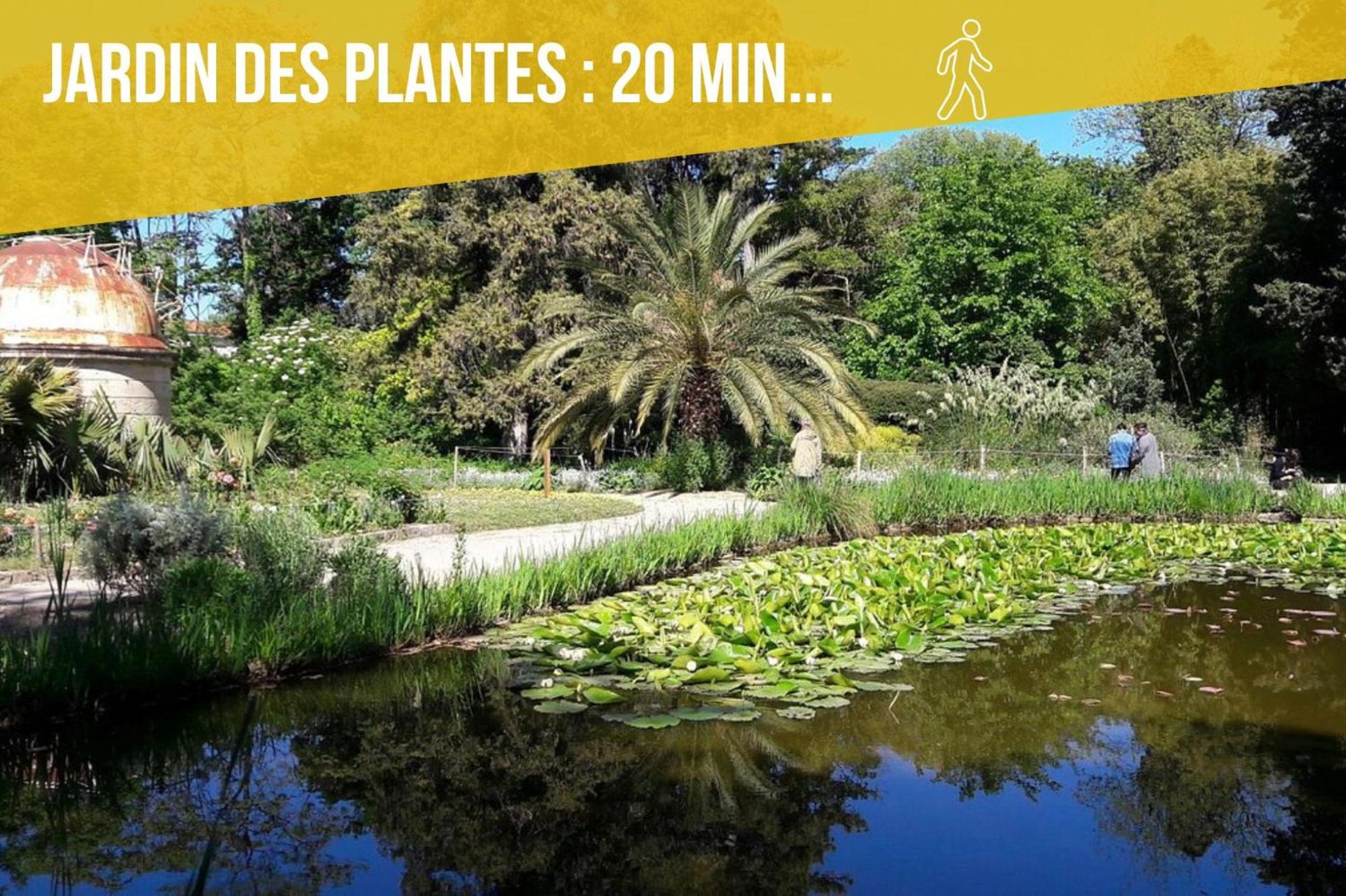 Amja Proche Clinique Saint-Roch Apt 3 Chambres 3 Salles De Bain Parking Gratuit Ideal Famille Groupe Coworking 10 Min Centre Ville 10 Min Plage 5 Min Sortie Autoroute Монпелье Экстерьер фото